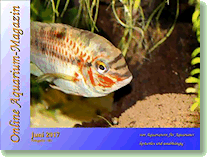 Ausgabe Juni 2017 Online Aquarium-Magazin