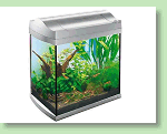 Aquarium