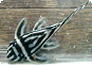 Die Flossenpaare bei einem Zebrawels