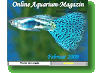 Online Aquarium-Magazin