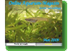 Online Aquarium-Magazin